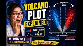 Volcano Plot Explained Simply Bioinformatics Made Easy