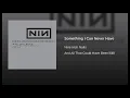 Something I Can Never Have - Nine Inch Nails