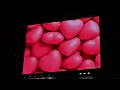 【SPEED】デビュー30周年『「Body & Soul」(Remastered 2026)』SPOT映像