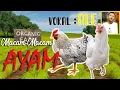 Download Lagu MACAM-MACAM AYAM (VOCAL : ALE)