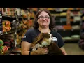 Lights Camera Petco Behind the Scenes of Our Filming Day
