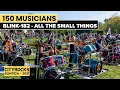Download Lagu All the small things (BLINK-182) - 150 musicians @CITYROCKS (The biggest rock flashmob in Romania)