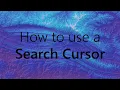 How to use a Search Cursor - ArcGIS Pro