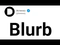 Blurb Meaning In English