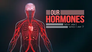 How your Hormones work! (Animation)