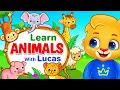 Download Lagu Animal Names for Kids | Animals Sounds \u0026 Baby Names | Educational Videos For Kids By RV AppStudios