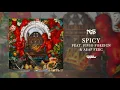 Nas "Spicy" feat. Fivio Foreign & A$AP Ferg (Official Audio)