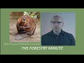 How to deter beavers from living on your property