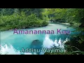 Lagu Addissu waayimaa | Afaan Oromo gospel song // Amanannaa Koo