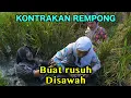 Download Lagu BUAT RUSUH DII SAWAH || KONTRAKAN REMPONG EPISODE 979