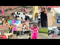 Download Lagu TWASUBIYE RUBAVU😭RUBAVU YABAYE RUBAVU😭VLOG/ ABAGORE IYO BISOHOKANYE NIHATARI #photoshoot #gisenyi
