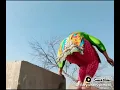 Aliza Sehar Vlogs 786