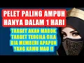Download Lagu Pelet Cinta Ampuh Dalam 1 Hari