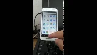                            دندنها