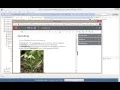 Webinar oXygen XML Editor 17 - XML Authoring on the Web
