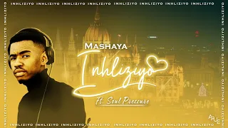mashaya inhliziyo visualizer ft soul pressure