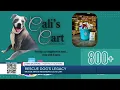 POSITIVELY OKLAHOMA CALI S CART Rescue dog s legacy inspires pet food pantry in Broken Arrow