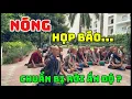 Download Lagu ông minh tuệ họp khẩn : đi đâu về đâu ?