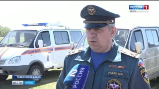 В Омскую область временно ограничен ввоз свинины