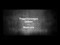 Download Lagu Saleem   Tinggal Kenangan