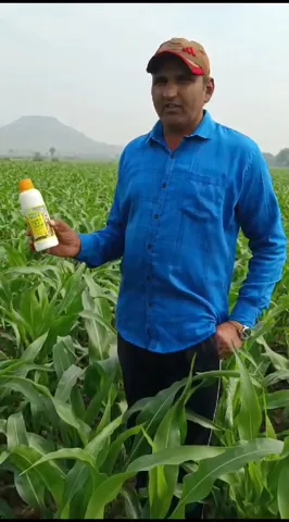 राजस्थान में बांसवाड़ा के किसान ने मक्का की फसल के लिए कौन सी खाद बताई उपयोगी  | वनइंडिया हिंदी