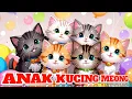 Download Lagu LAGU ANAK KECIL PAUD DAN TK - ANAK KUCING MEONG MEONG dan lagu lainnya,Lagu terbaik/@SANTRIKIDS-h4i​