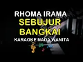 Download Lagu SEBUJUR BANGKAI - KARAOKE NADA WANITA ( RHOMA IRAMA )