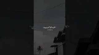 يبقي فاضل ايه يا قلبي  دندنها