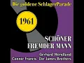 Schöner fremder Mann