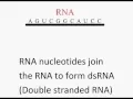 Download Lagu siRNA animation- The control of translation