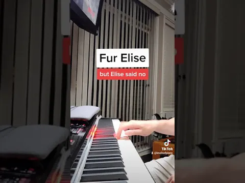 Download MP3 Fur Elise but Elise said no