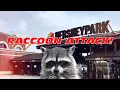 Hersheypark Raccoon Attack