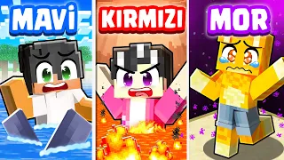 Minecraft ama TEK Renk SAKLAMBAÇ..! 🌈