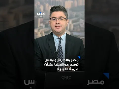 مصر والجزائر وتونس توحد مواقفها بشأن الأزمة الليبية