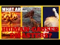 What Are Human-Caused Disasters Man-Made Disasters 101