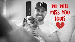 This was a hard day. We will miss you Louis.RIP 💔