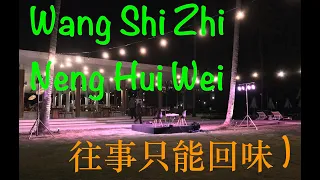 wang shi zhi neng hui wei cover by lya