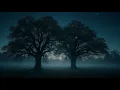300 Chemistry Facts: A Gentle Bedtime Journey | Science for Sleep