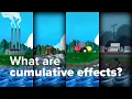 What are cumulative effects