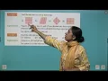 Chapter 4 Odd One Out Aptitude and Reasoning Class 2 By Blueprint Digital