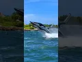 Download Lagu what am I driving ⁉️ 🦈 or 🏍️? #wet #water #seabreacher #jet #shark