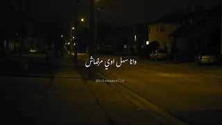 تامر حسني   إرتاح   دندنها