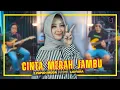 Download Lagu Cinta Merah Jambu | 3 Papah Muda feat Lidyara (Cover Versi Kenyed)