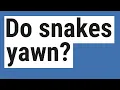 Do snakes yawn
