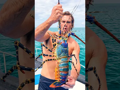 Exotic Lobster Catch and Cook #fishing #shorts #survival #lobster