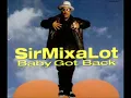 Baby Got Back Mix Mix by Sir Mix A Lot