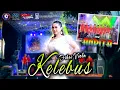 Download Lagu KELEBUS - FIBRI VIOLA FT NEW ANDITA RAMAYANA AUDIO LIVE KESAMBEN WETAN DRIYOREJO GRESIK