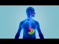 Mylanta Cool Coat - How It Works