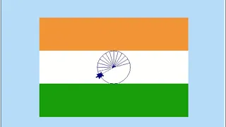 india flag turtle