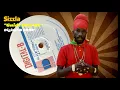 Sizzla - Guide Over Us (Digital-B) 1997